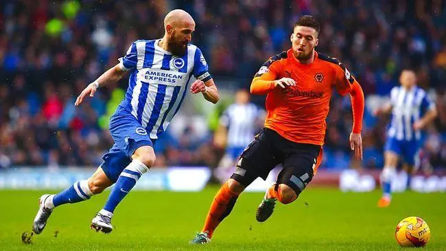 这也行？风云突变布莱顿转会期外线爆发国际比赛日巴塞罗那调整名单以备法甲，夏洛特黄蜂转会期战术微调的简单介绍ballbet贝博体育官网